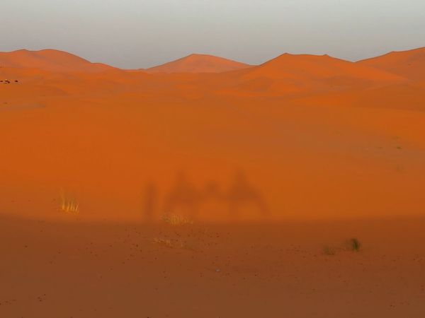 ▲▼Merzouga Glamping。（圖／部落客混血珊莎的奇幻旅程授權提供）