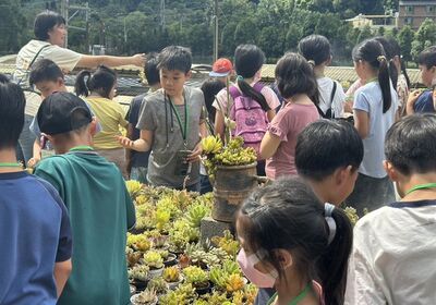 《植感桃園夏令營》80學童參與　農業局推動自然教育向下紮根