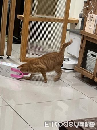 ▲。（圖／Threads@ariel_0515_提供，請勿隨意翻拍，以免侵權。）