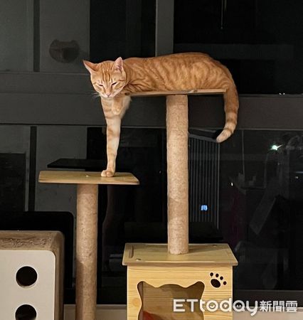 ▲。（圖／Threads@ariel_0515_提供，請勿隨意翻拍，以免侵權。）