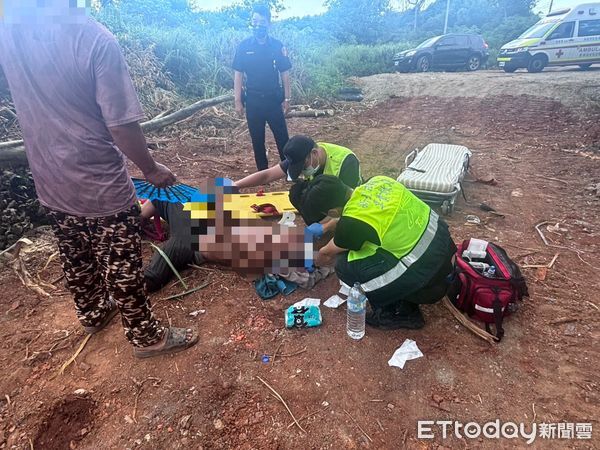 ▲林口發生整地工安意外，張男遭樹幹砸傷送醫。（圖／記者陸運陞翻攝）