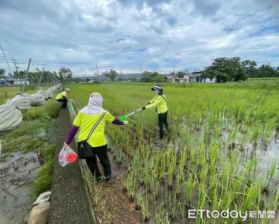 ▲▼高雄出現今年首例本土日本腦炎個案。（圖／記者許宥孺翻攝）