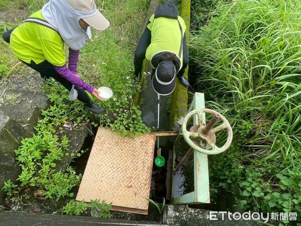▲▼高雄出現今年首例本土日本腦炎個案。（圖／記者許宥孺翻攝）