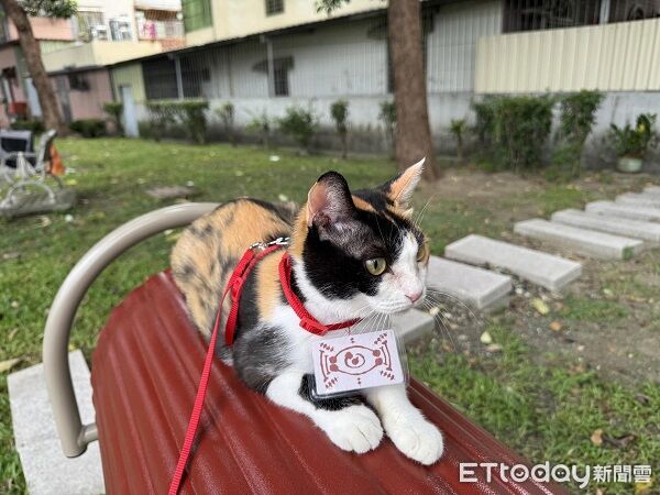 ▲。（圖／Threads@szyu_0509提供，請勿隨意翻拍，以免侵權。）