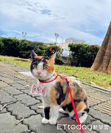 ▲。（圖／Threads@szyu_0509提供，請勿隨意翻拍，以免侵權。）