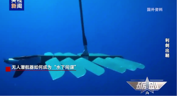 ▲▼ 大陸官媒央視稱，沿海漁民多次撈到「間諜魚」 （圖／翻攝 央視）