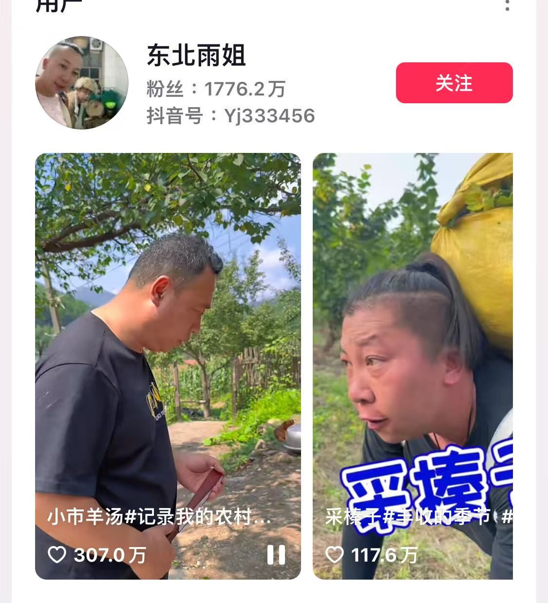 ▲▼ 大陸官方點名東北雨姐、三隻羊（瘋狂小楊哥）           。（圖／翻攝 抖音）