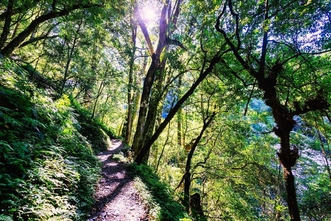 拉拉山,拉拉山旅遊,桃園旅遊,北橫旅遊,觀星,拉拉山星樂園,拉拉山夜間導覽,巴陵鐵塔,拉拉山行程推薦,宇內溪溫泉,陳伊,暗空勝地,星空,親子旅遊,一日遊（圖／桃園市政府提供）