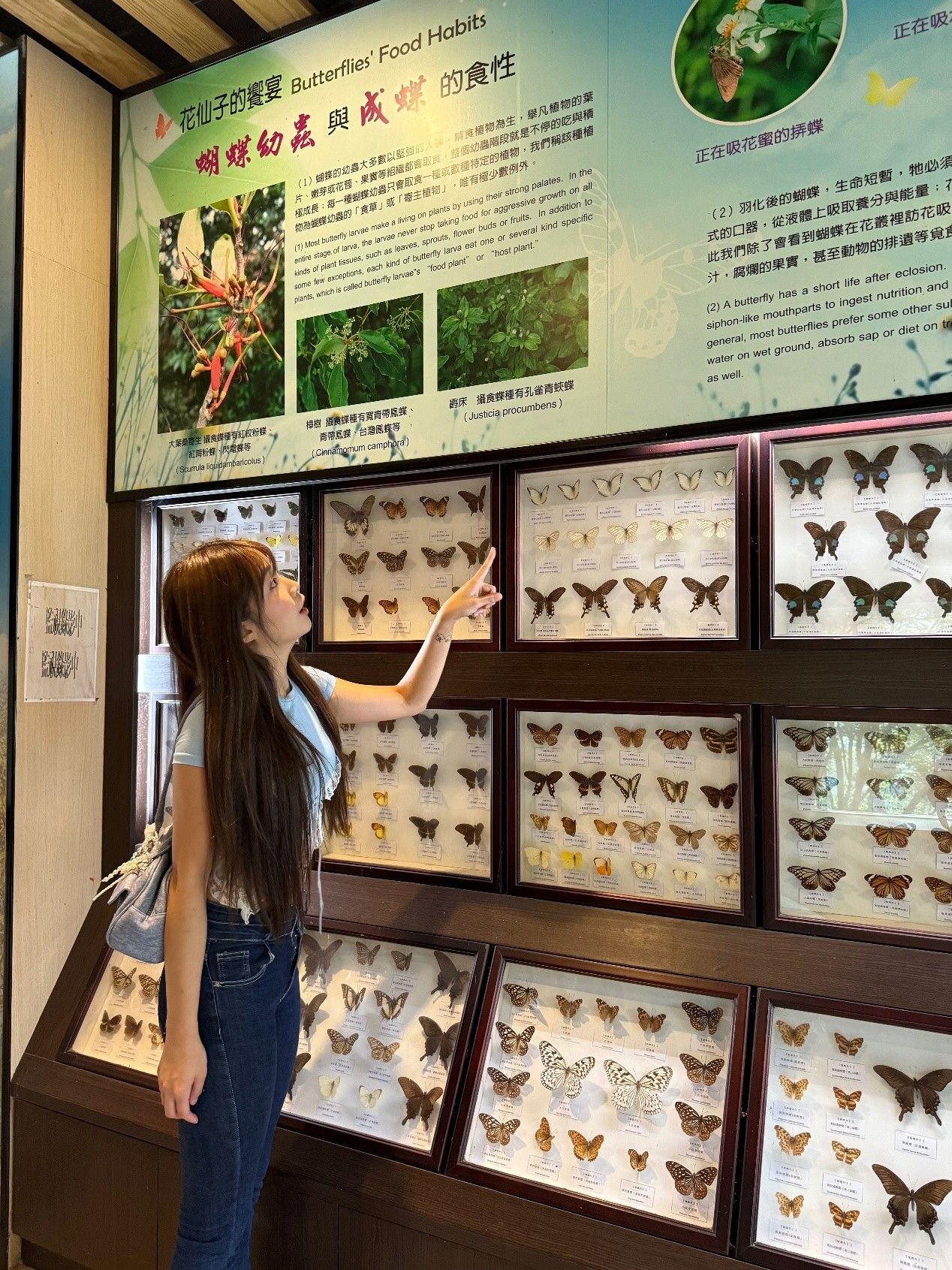 桃園好好玩,拉拉山,拉拉山旅遊,桃園旅遊,北橫旅遊,觀星,拉拉山星樂園,拉拉山夜間導覽,巴陵鐵塔,拉拉山行程推薦,宇內溪溫泉,陳伊,暗空勝地,星空,親子旅遊,一日遊（圖／翻攝自陳伊IG）