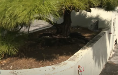 日沖繩超市棄嬰! 3月大女嬰被棄置在停車場草叢