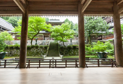 日知名禪寺爆性醜聞！20女高中生合宿修行「慘遭淫僧下手」