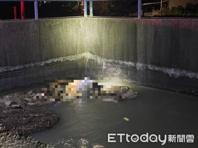 快訊／台南嘉南大圳發現女浮屍！警消打撈上岸　身分待查