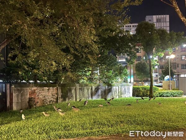 ▲。（圖／臉書Miller Hsu提供，請勿隨意翻拍，以免侵權。）