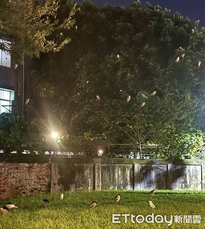 ▲。（圖／臉書Miller Hsu提供，請勿隨意翻拍，以免侵權。）