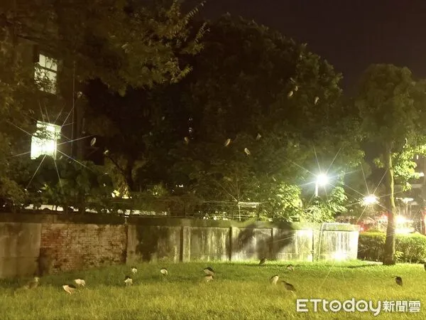 ▲。（圖／臉書Miller Hsu提供，請勿隨意翻拍，以免侵權。）