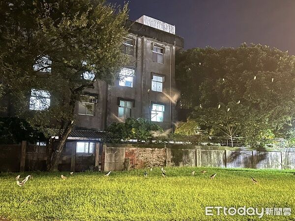 ▲。（圖／臉書Miller Hsu提供，請勿隨意翻拍，以免侵權。）