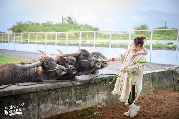 ▲▼牛頭司親子體驗農場。（圖／部落客滿分的旅遊札記授權提供）