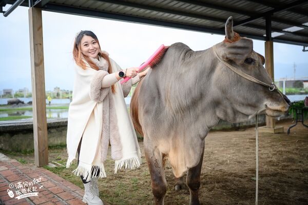 ▲▼牛頭司親子體驗農場。（圖／部落客滿分的旅遊札記授權提供）