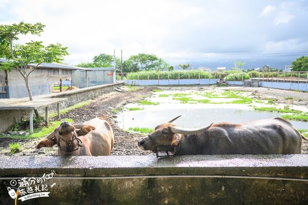 ▲▼牛頭司親子體驗農場。（圖／部落客滿分的旅遊札記授權提供）