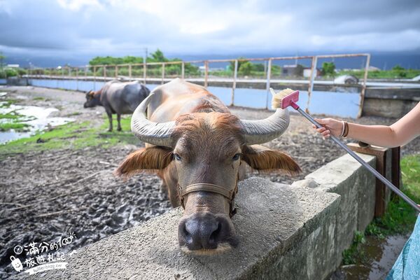 ▲▼牛頭司親子體驗農場。（圖／部落客滿分的旅遊札記授權提供）