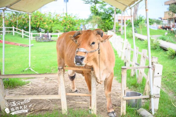 ▲▼牛頭司親子體驗農場。（圖／部落客滿分的旅遊札記授權提供）