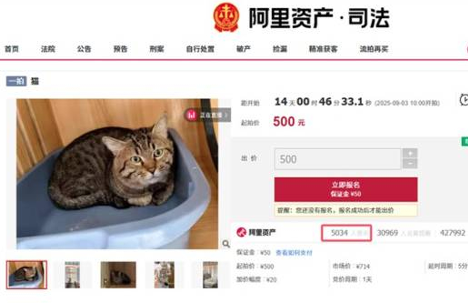 ▲▼陸飼主財產遭查封，寵物狸花貓被法拍。（圖／翻攝自微博）