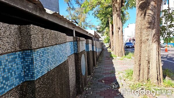 ▲台東中華路黑板樹再利用。（圖／記者楊晨東翻攝）