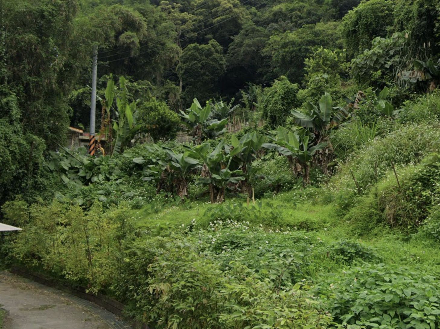 ▲▼內湖罕見109年老宅8500萬成交，位在康寧路一段156巷，建物僅約20.5坪。（圖／翻攝自Google Maps）