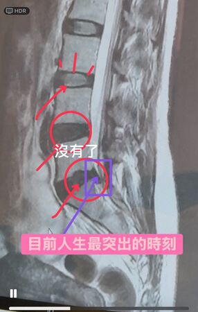 ▲▼萁萁。（圖／翻攝自FACEBOOK／萁萁的黃三寶）