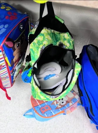 書包裡有蛇。（圖／翻攝自Tiktok@jeannettezirbel）