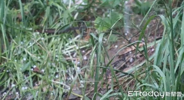 ▲▼             。（圖／記者李陳信得攝）