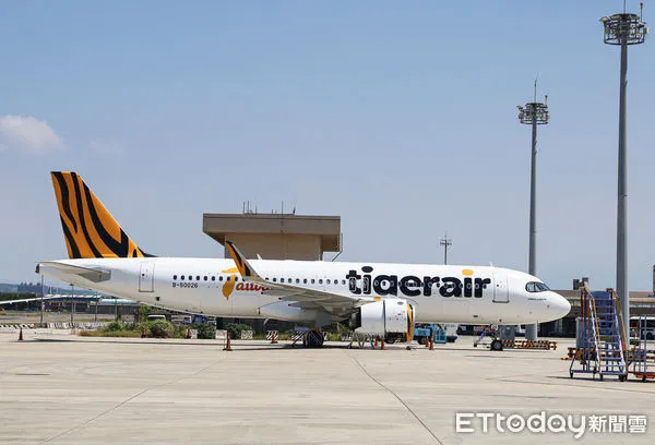 ▲▼台灣虎航。（圖／記者蔡玟君攝）