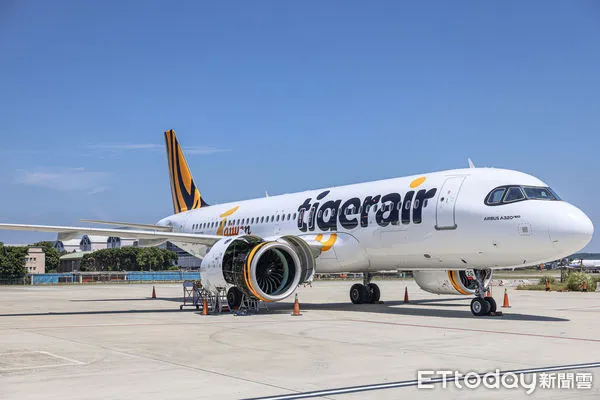 ▲▼台灣虎航。（圖／記者蔡玟君攝）