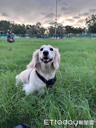 ▲。（圖／Threads@@_guagua_12提供，請勿隨意翻拍，以免侵權。）