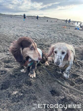 ▲。（圖／Threads@@_guagua_12提供，請勿隨意翻拍，以免侵權。）