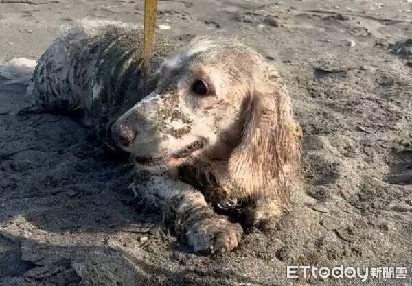 ▲。（圖／Threads@@_guagua_12提供，請勿隨意翻拍，以免侵權。）