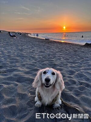 ▲。（圖／Threads@@_guagua_12提供，請勿隨意翻拍，以免侵權。）