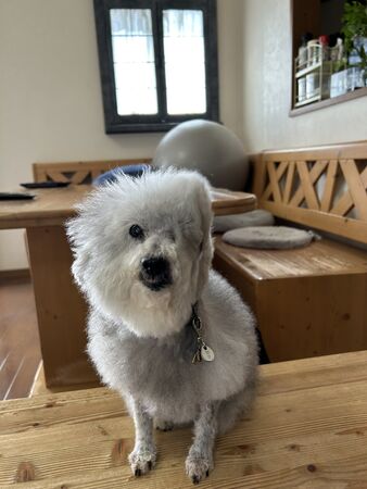 ▲。（圖／翻攝自Ｘ／@9Z8lquSv8B3FMpN）