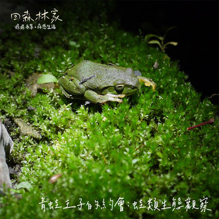 ▲東眼山「回森林家」活動將於9月6日至7日兩天登場，有癒見森林手作倒流香等課程。（圖／林業保育署新竹分署提供）