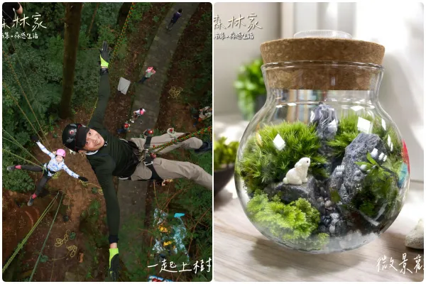 ▲東眼山「回森林家」活動將於9月6日至7日兩天登場，有癒見森林手作倒流香等課程。（圖／林業保育署新竹分署提供）