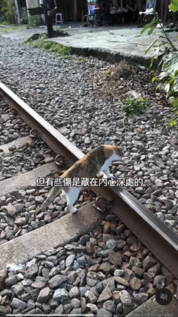 ▲▼鄭靚歆。（圖／翻攝自Threads／jinjin_c）