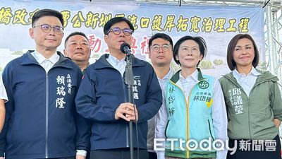 大罷免連敗柯建銘遭逼宮請辭 陳其邁:「朝小野大」幹部很辛苦