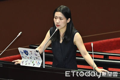 徐巧芯挺「生一胎補助10萬」:比用在奇怪的媒體宣傳費好