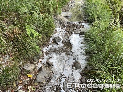 玉山「夏日雪景」冰雹大爆發積冰5公分！步道驚人白一片