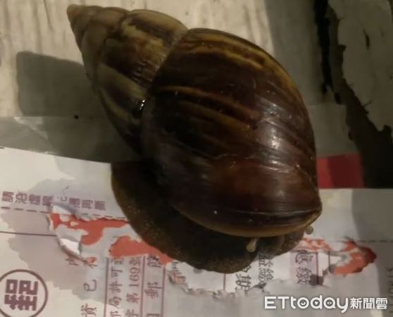 ▲。（圖／Threads@itse_liu提供，請勿隨意翻拍，以免侵權。）