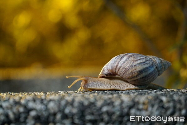 ▲。（資料照／記者姜國輝攝）
