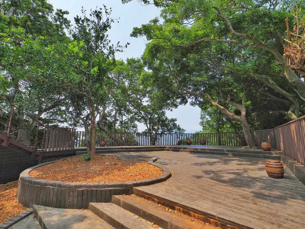 ▲圓山風景區「森林方舟」在8月1日正式啟用，是賞大稻埕煙火絕佳景點之一。（圖／北市大地處提供）