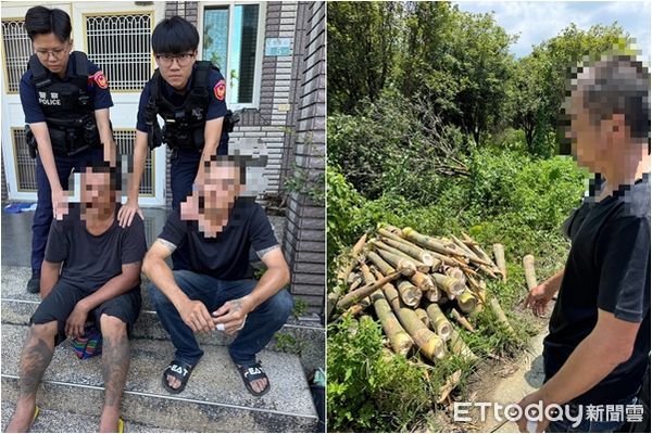 ▲▼嘉義竹筍園遭竊，竊賊失風竟還持刀棍打傷園主。（圖／記者翁伊森翻攝）