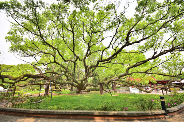 ▲台中石岡熱氣球嘉年華順遊景點。（圖／台中市石岡區公所提供）