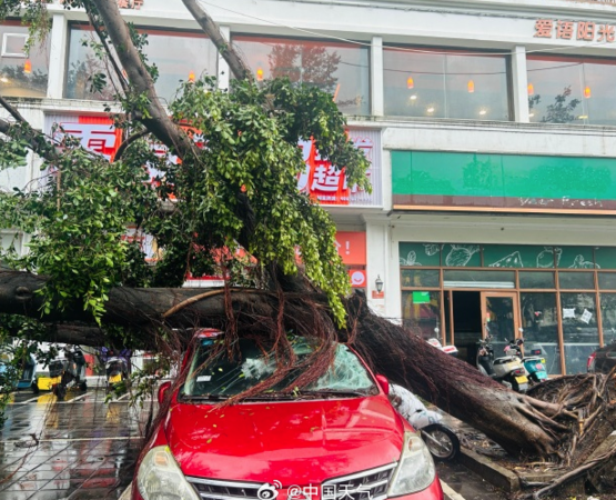 ▲▼「劍魚」狂掃三亞。（圖／翻攝自微博）